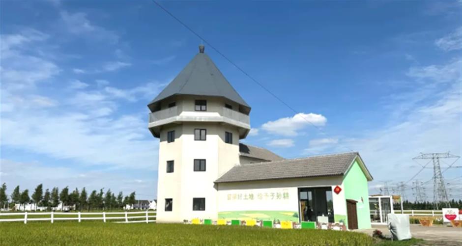 秋游正当时!别错过这些好玩的小众亲子乐园