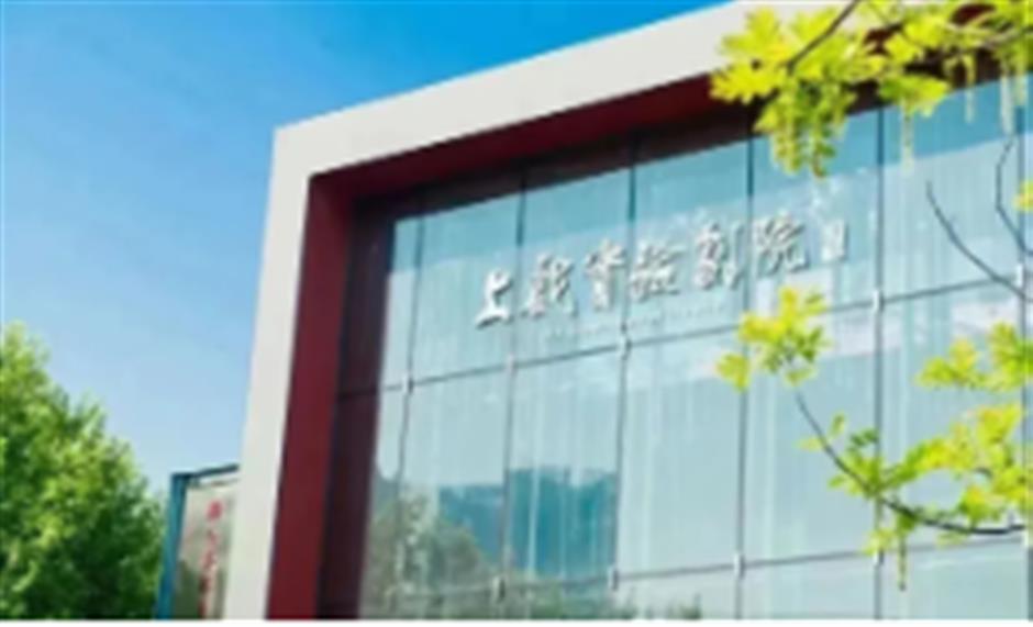 進博會遇上藝術節！打卡滬上劇場，觀賞全球好戲