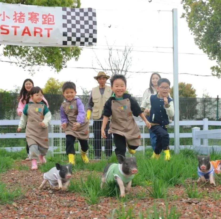 秋游正当时!别错过这些好玩的小众亲子乐园