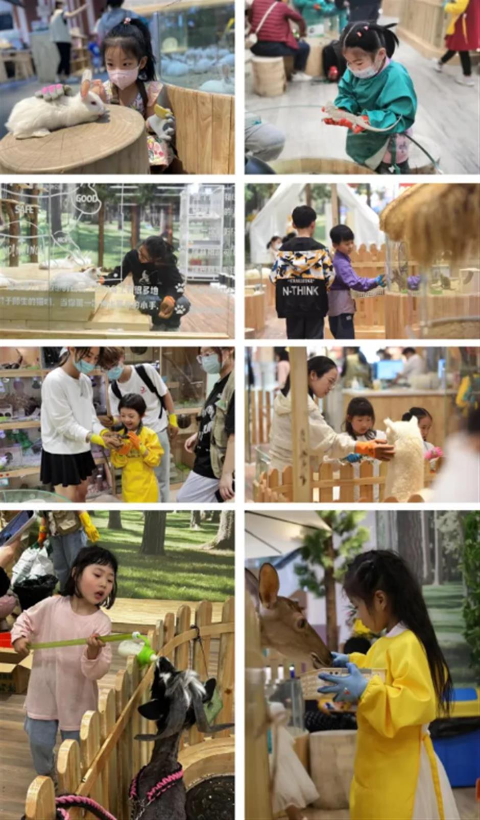 秋游正当时!别错过这些好玩的小众亲子乐园