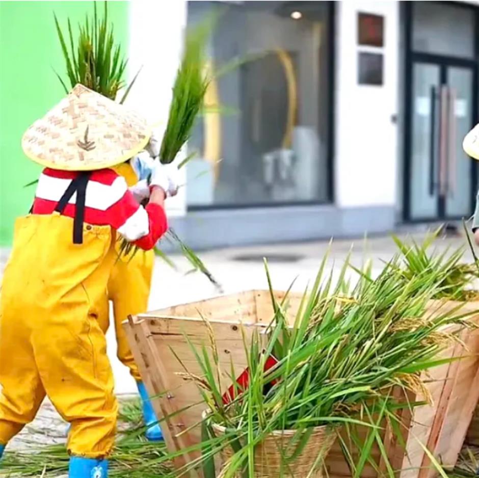 秋游正当时!别错过这些好玩的小众亲子乐园