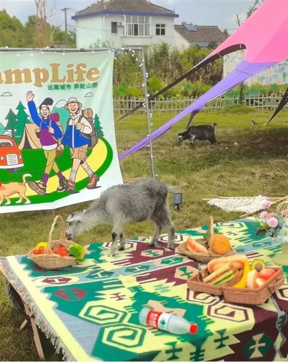 秋游正当时!别错过这些好玩的小众亲子乐园