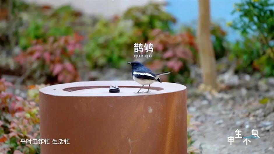 到这些特别的小公园,去去班味!