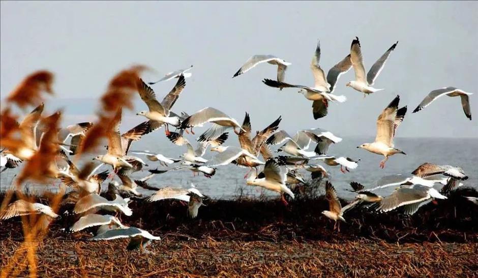 寻秋去!去天然氧吧尽情