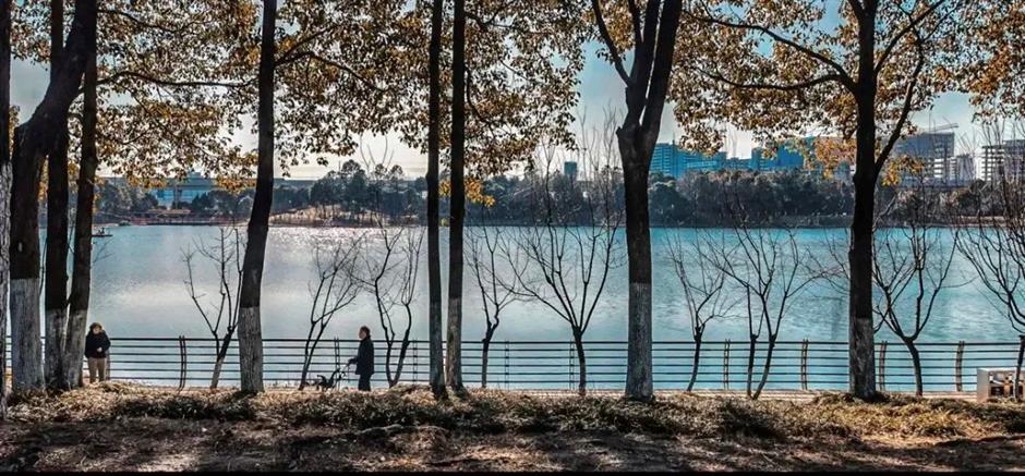 寻秋去!去天然氧吧尽情