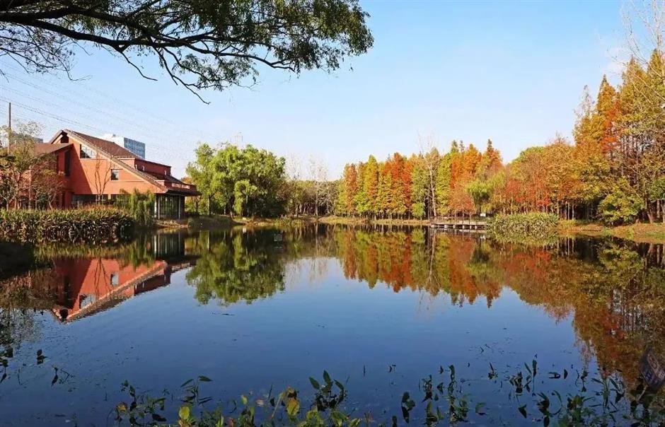 寻秋去!去天然氧吧尽情