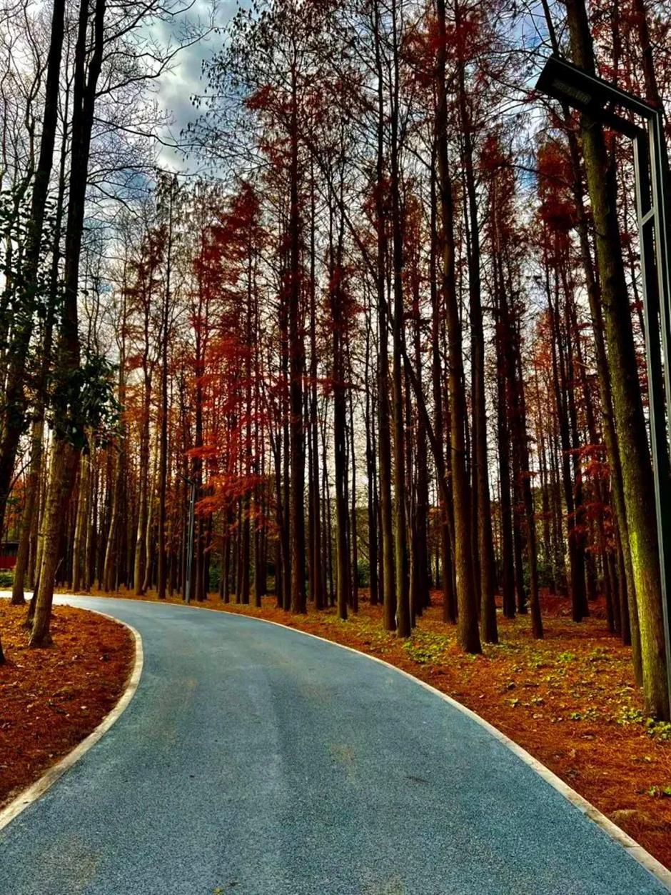 寻秋去!去天然氧吧尽情