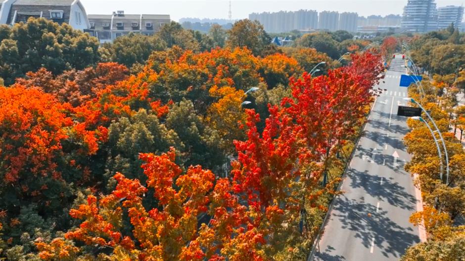 寻秋去!去天然氧吧尽情
