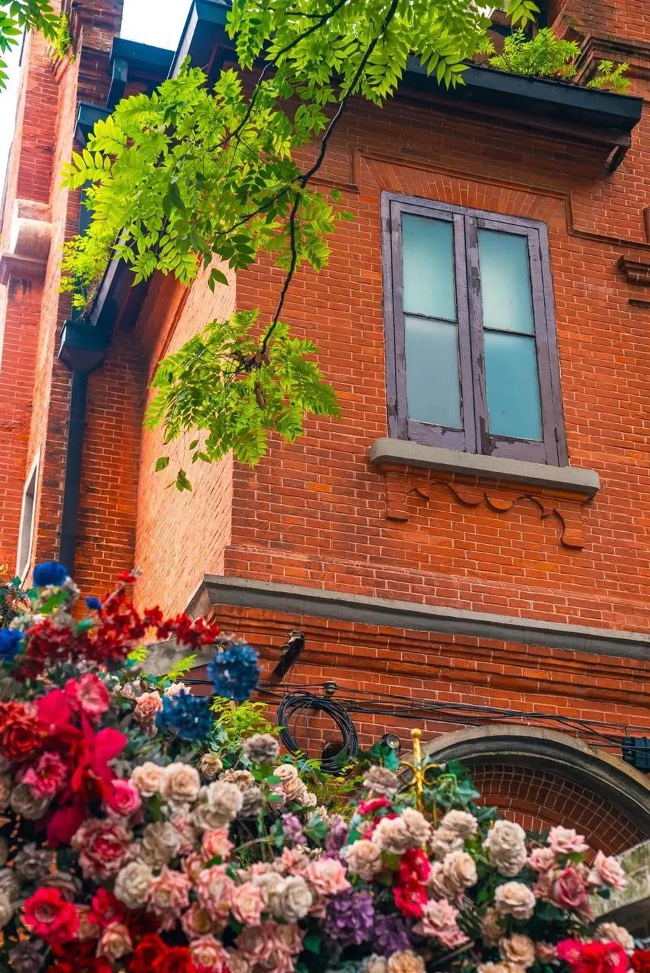 绝美秋色!逛逛这条松驰感满满的小马路