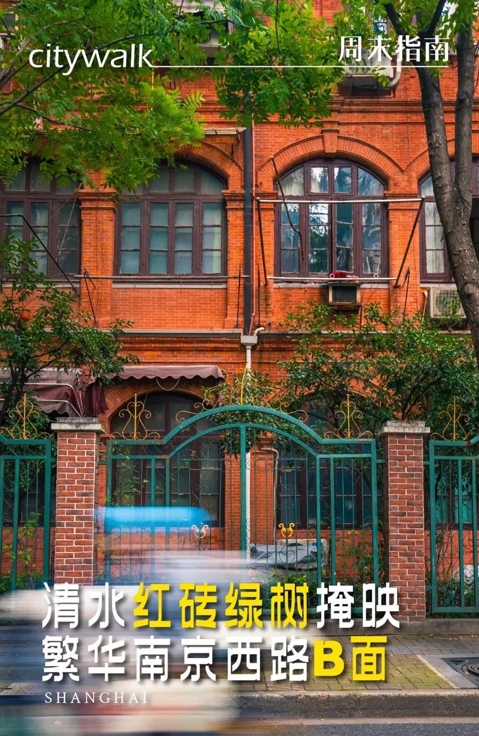 绝美秋色!逛逛这条松驰感满满的小马路