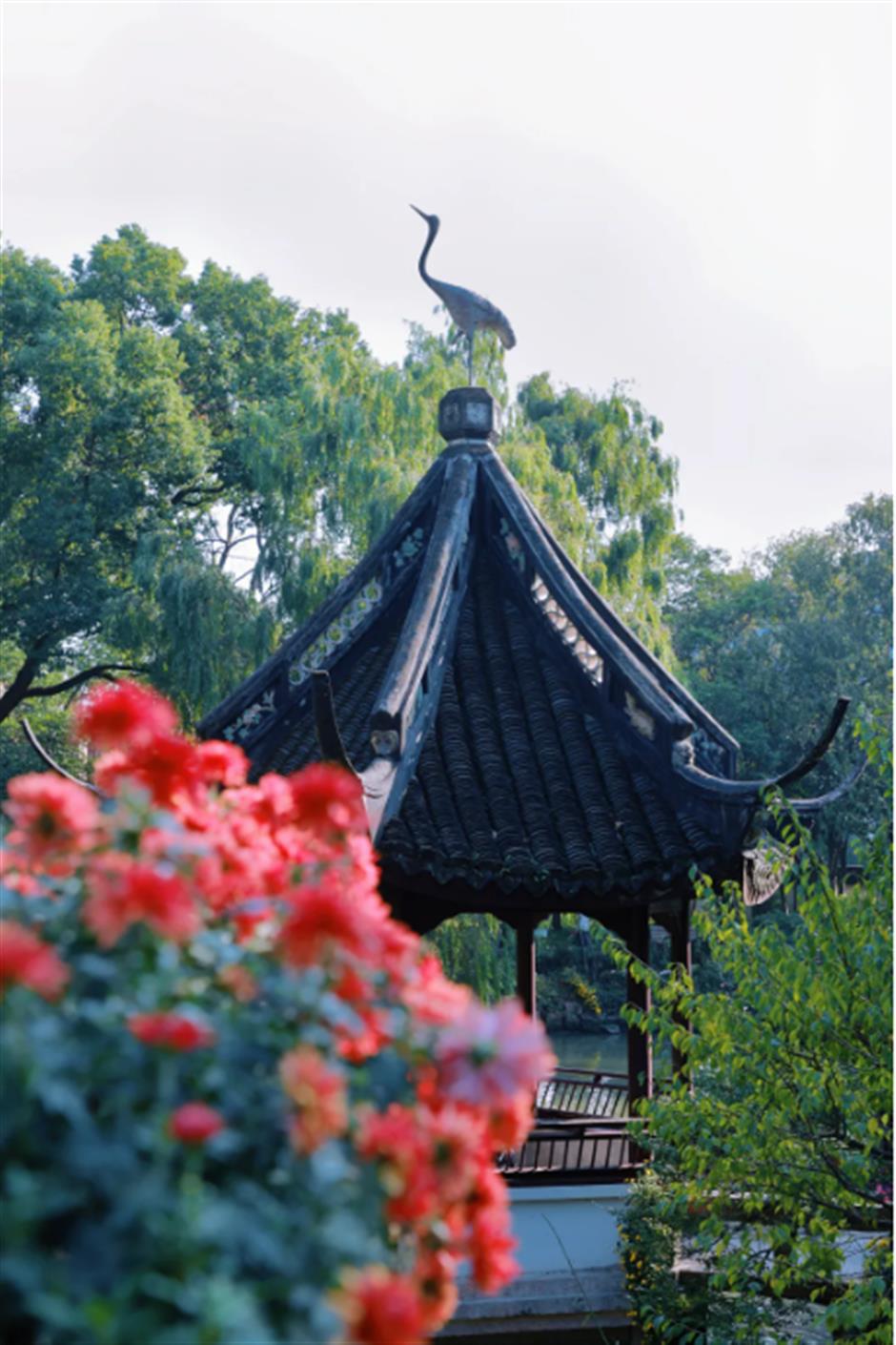 地铁旁的这座园林,藏不住了!