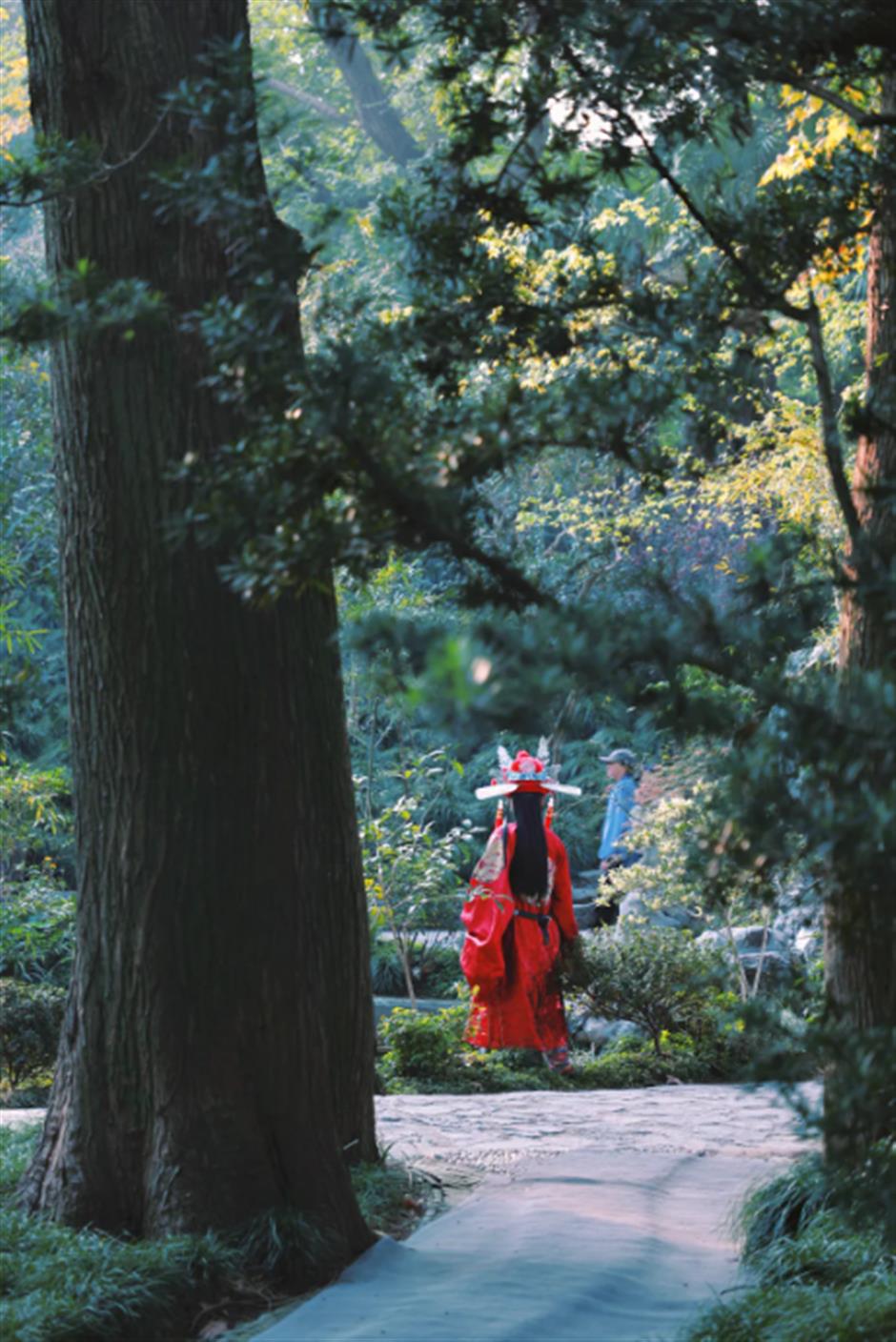 地铁旁的这座园林,藏不住了!