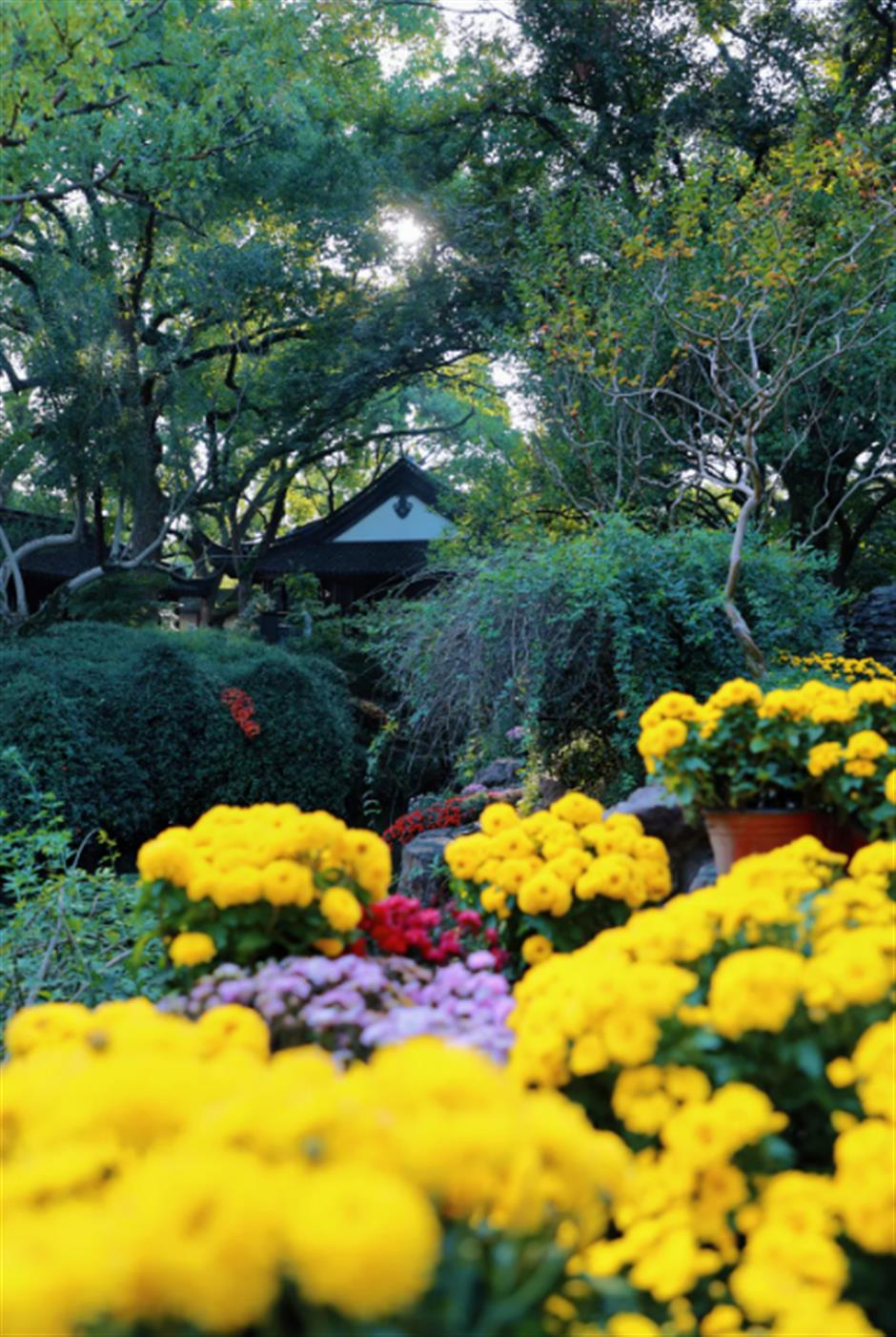 地铁旁的这座园林,藏不住了!