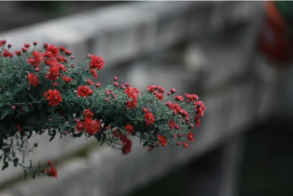 地铁旁的这座园林,藏不住了!