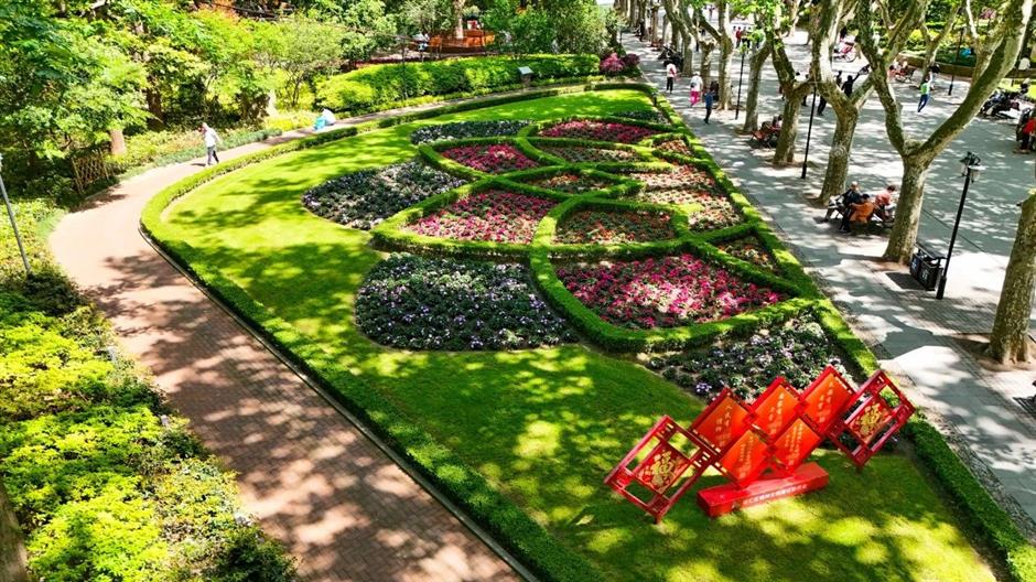 秋日濃度拉滿!去梧桐樹下盪盪小馬路吧