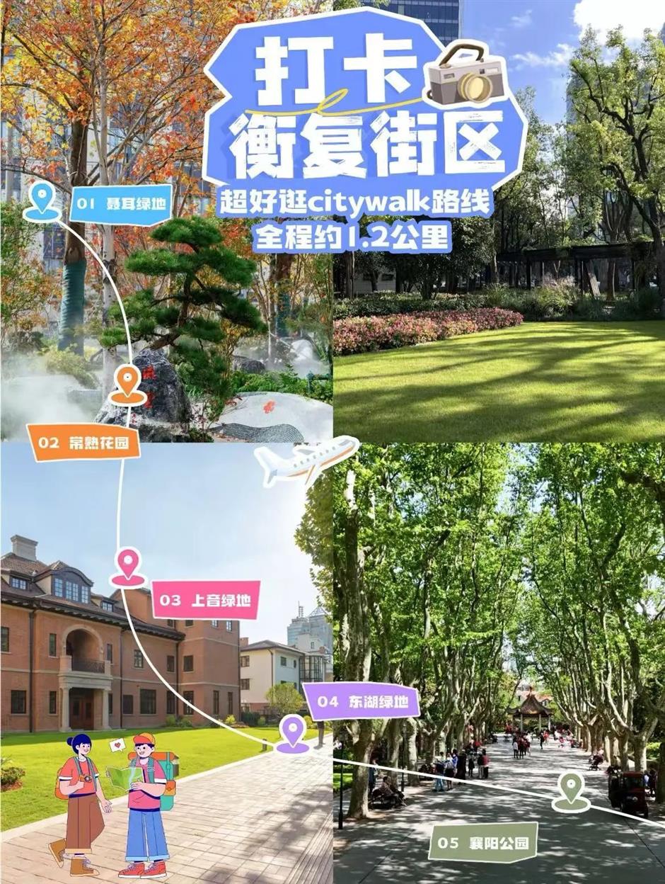 秋日濃度拉滿!去梧桐樹下盪盪小馬路吧