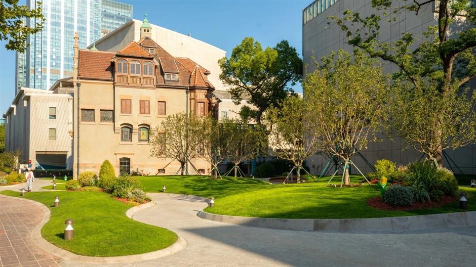 秋日濃度拉滿!去梧桐樹下盪盪小馬路吧