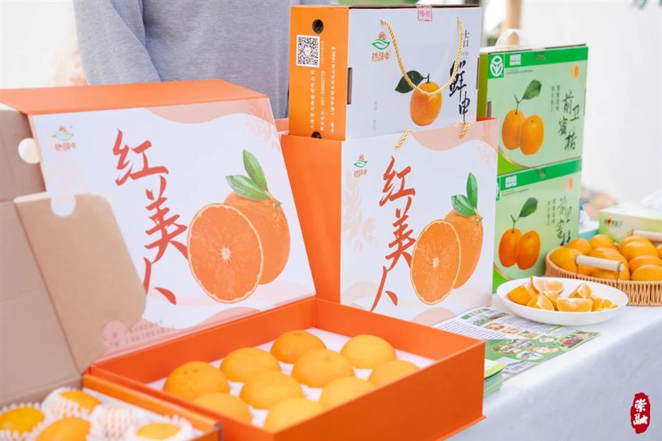 桔子红了,沪郊缤纷活动轮番上演