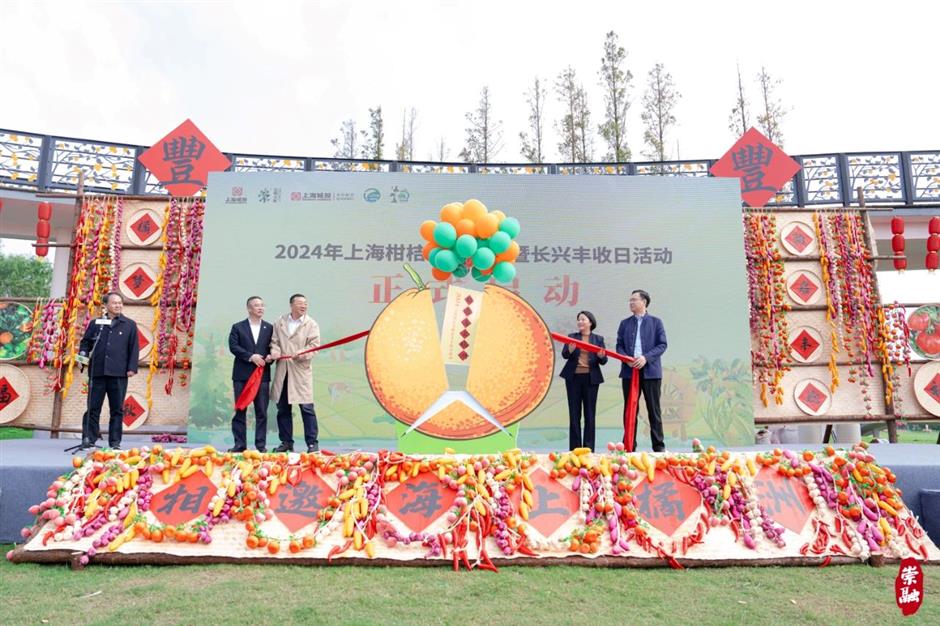 桔子红了,沪郊缤纷活动轮番上演
