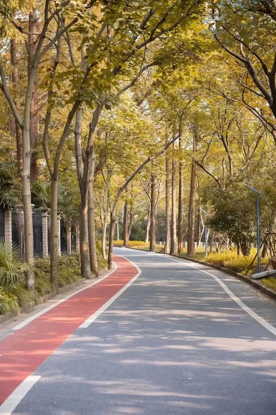 深秋骑游,三条绝美限定路线不可错过