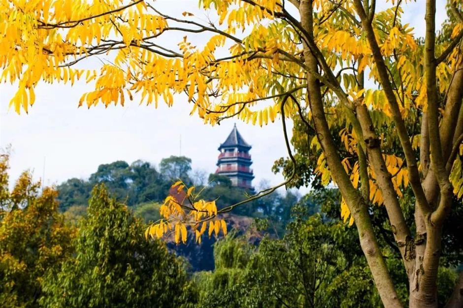 深秋骑游,三条绝美限定路线不可错过