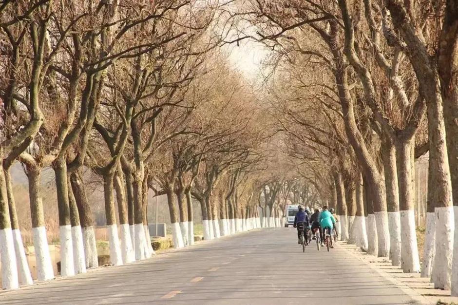 深秋骑游,三条绝美限定路线不可错过