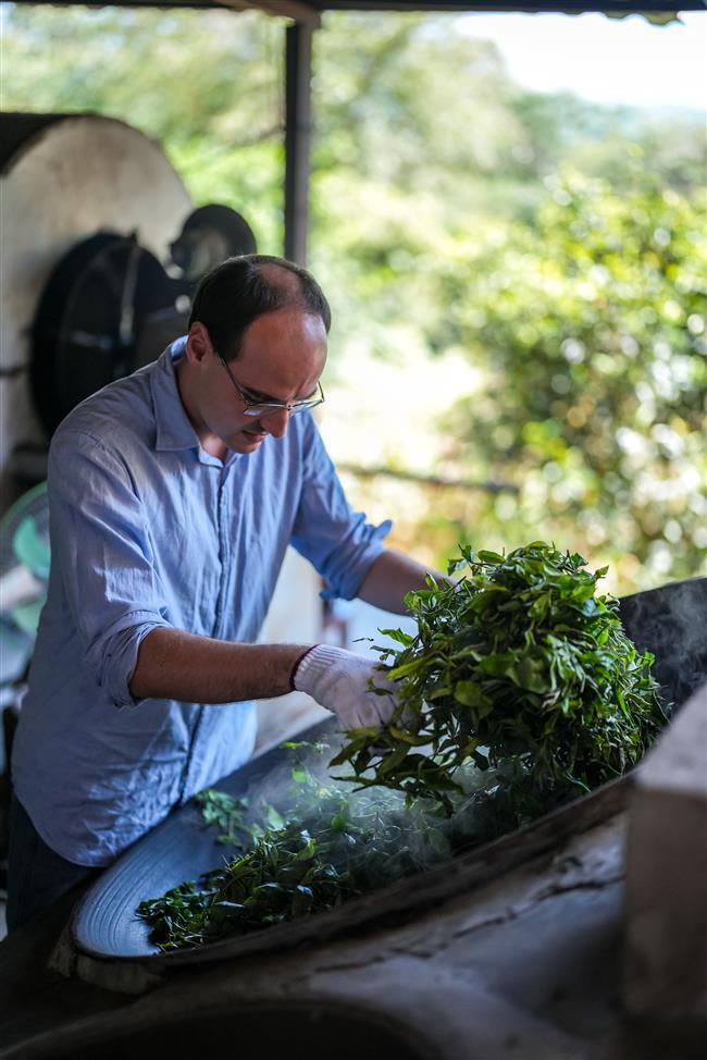 Discovering Pu'er: A Frenchman's Journey to the Terroir of Tea