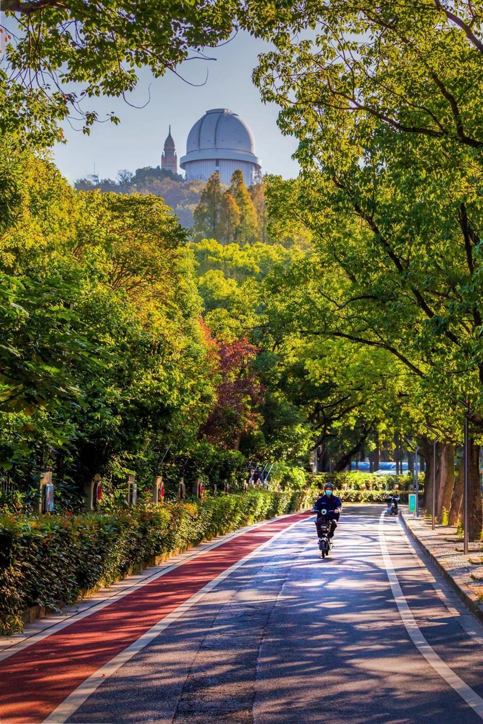 码住!这4条宝藏徒步路线太适合深秋了