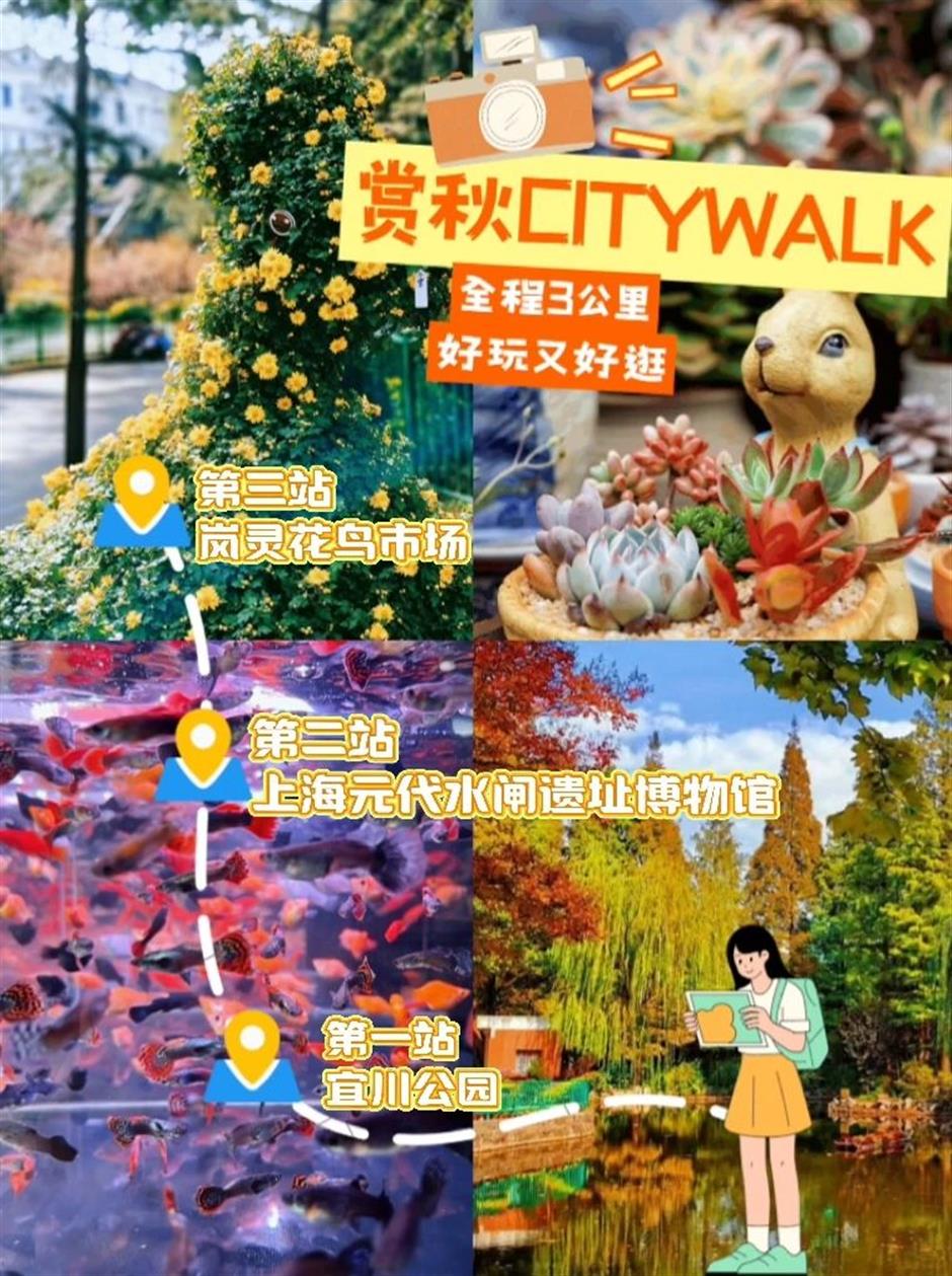 赏秋Citywalk线路已上线,立即解锁→