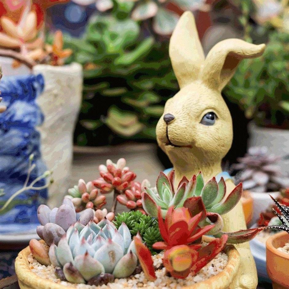 赏秋Citywalk线路已上线,立即解锁→