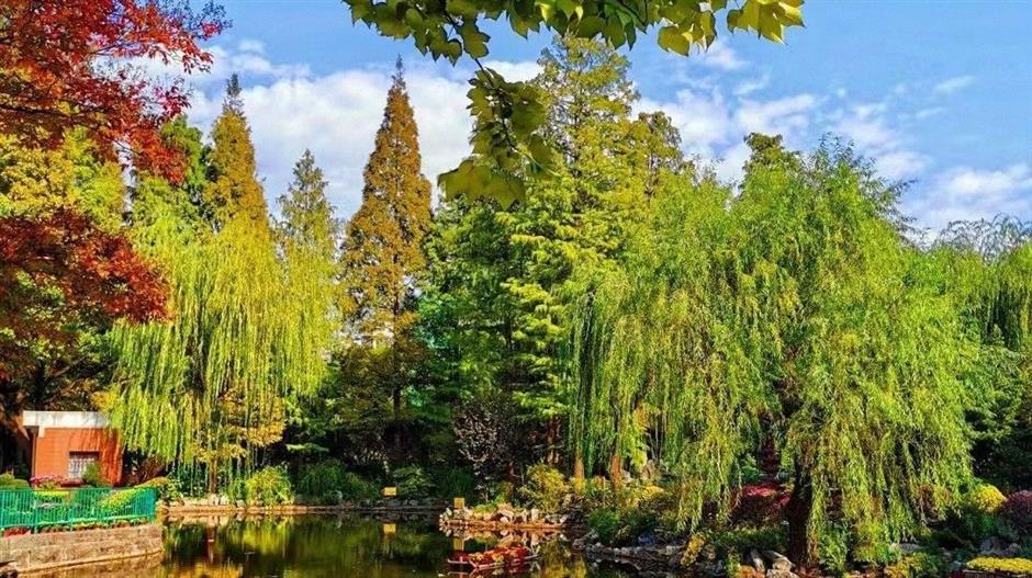 赏秋Citywalk线路已上线,立即解锁→