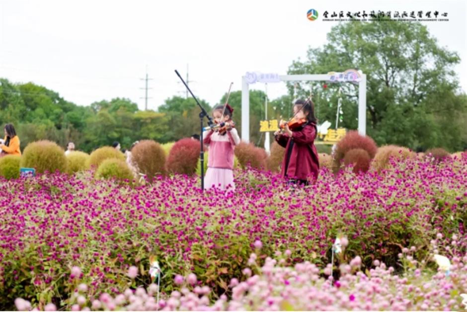 地肤、枫叶、芦花……上海这个公园秋日氛围感已达99%!