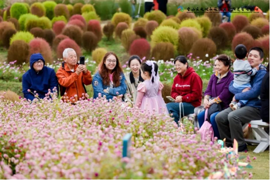 地肤、枫叶、芦花……上海这个公园秋日氛围感已达99%!