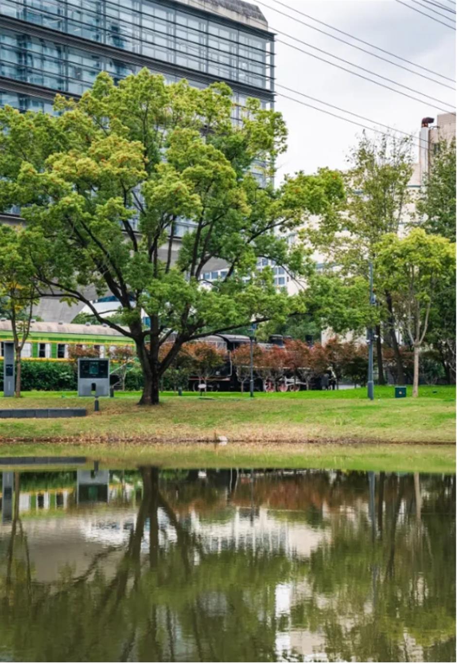 电影感绿皮火车大片,竟然在上海的公园和咖啡馆就能拍到!