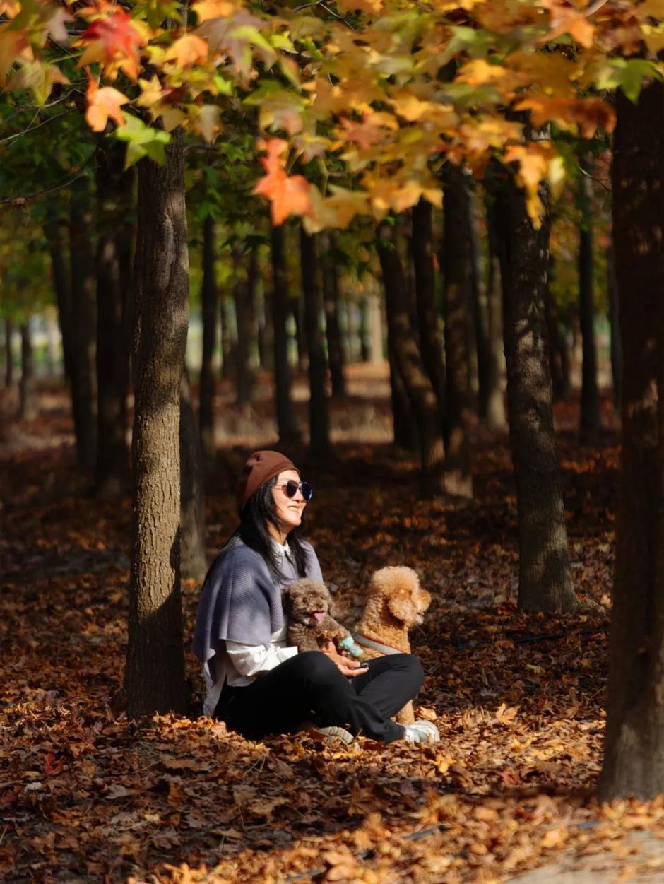 即将爆红!上海郊区这些