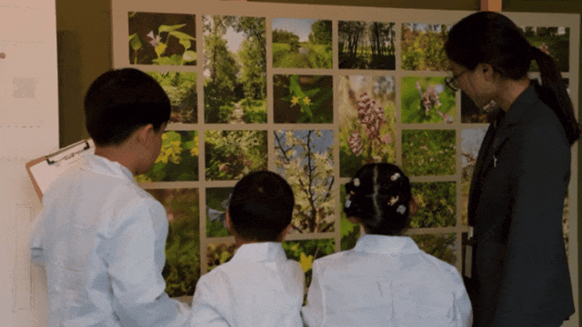 打卡点更新!郊游上海新馆、新活动等你来