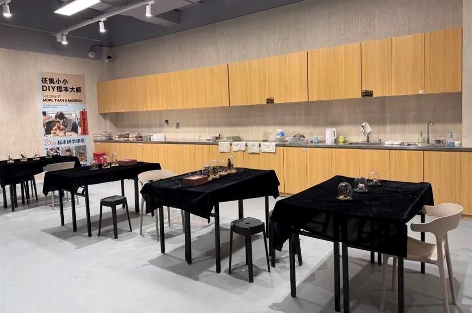 打卡点更新!郊游上海新馆、新活动等你来