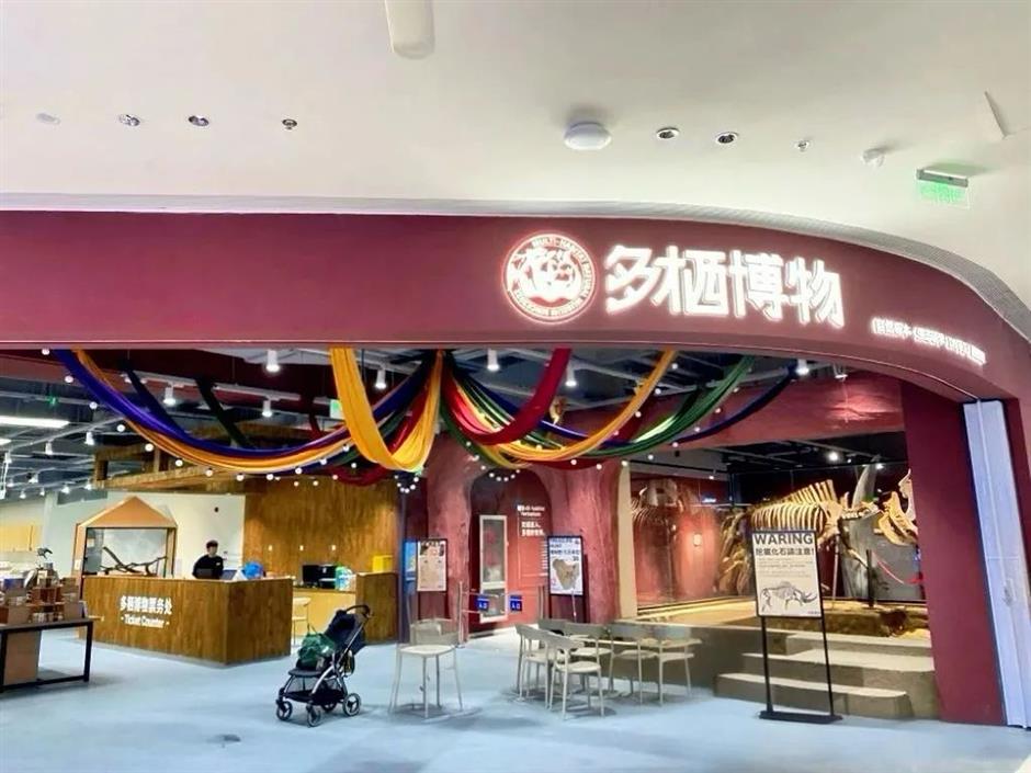 打卡点更新!郊游上海新馆、新活动等你来