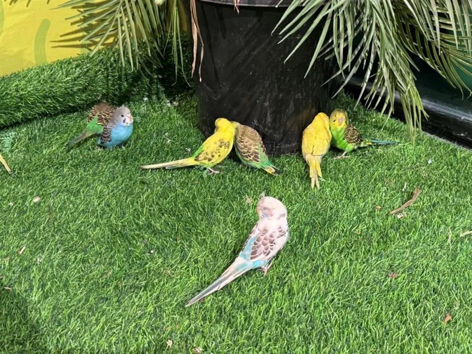 打卡点更新!郊游上海新馆、新活动等你来