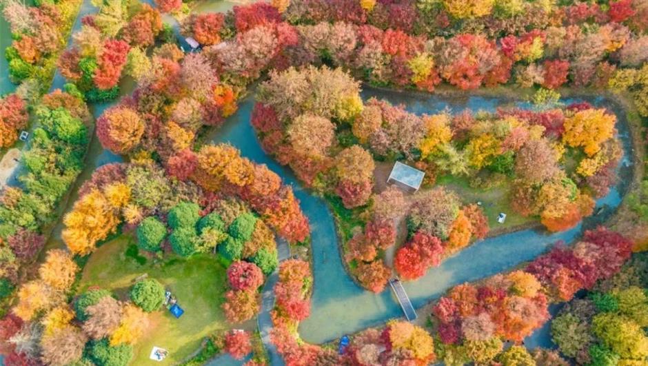 即将爆红!上海郊区这些