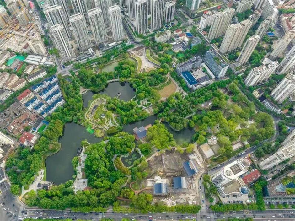 沿着上海小马路,一边Citywalk,一边捡个秋