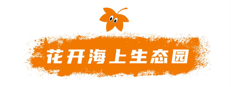 即将爆红!上海郊区这些