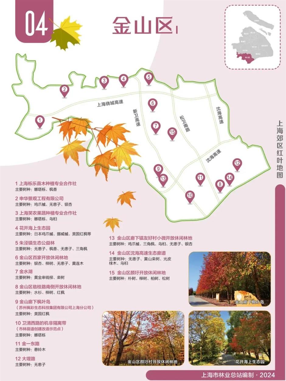 即将爆红!上海郊区这些