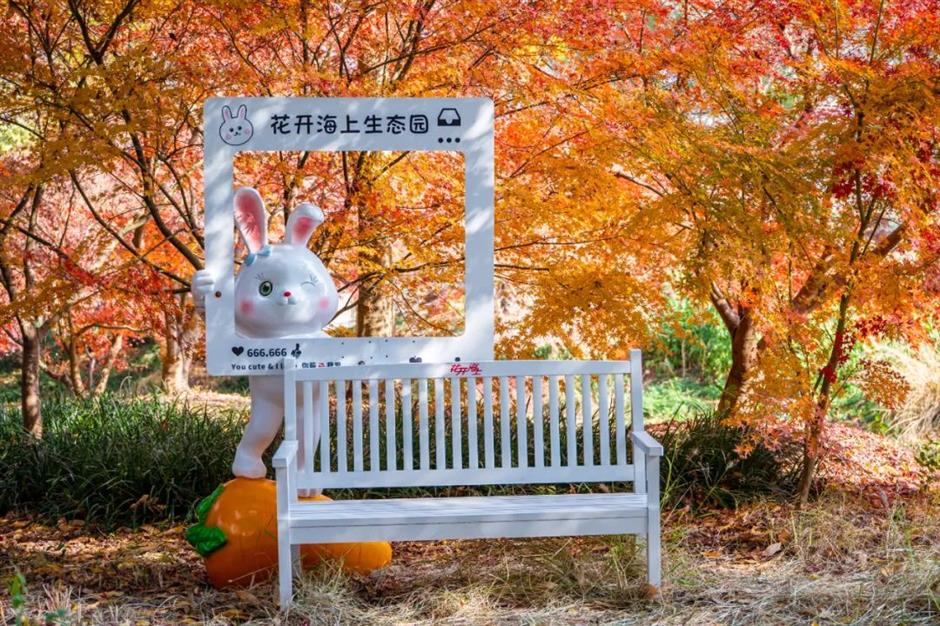 即将爆红!上海郊区这些