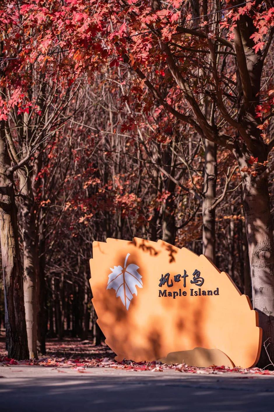 即将爆红!上海郊区这些