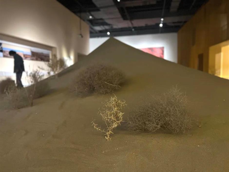 新开好去处!上海这些地方等你打卡