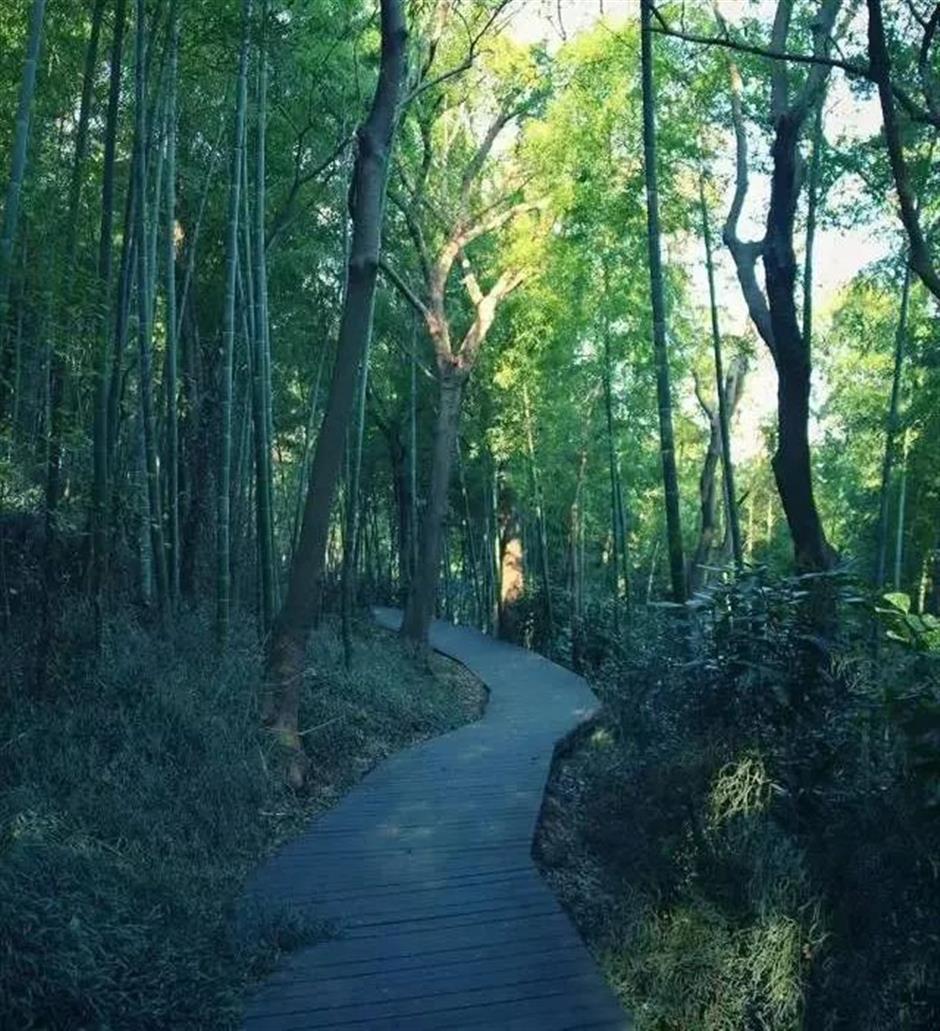 不在浦東,上海的另一座「雙子山」歷史更悠久