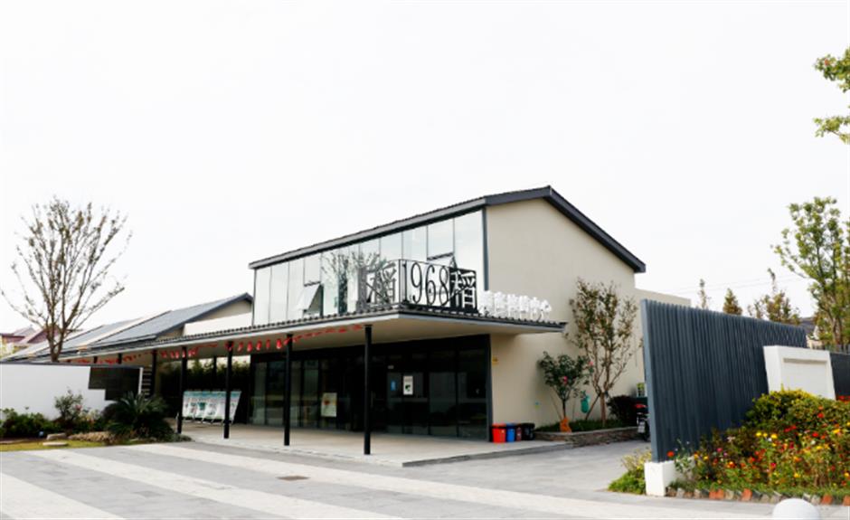 赏飞鸟红叶、品冬日美食……深秋浅冬来郊游吧!