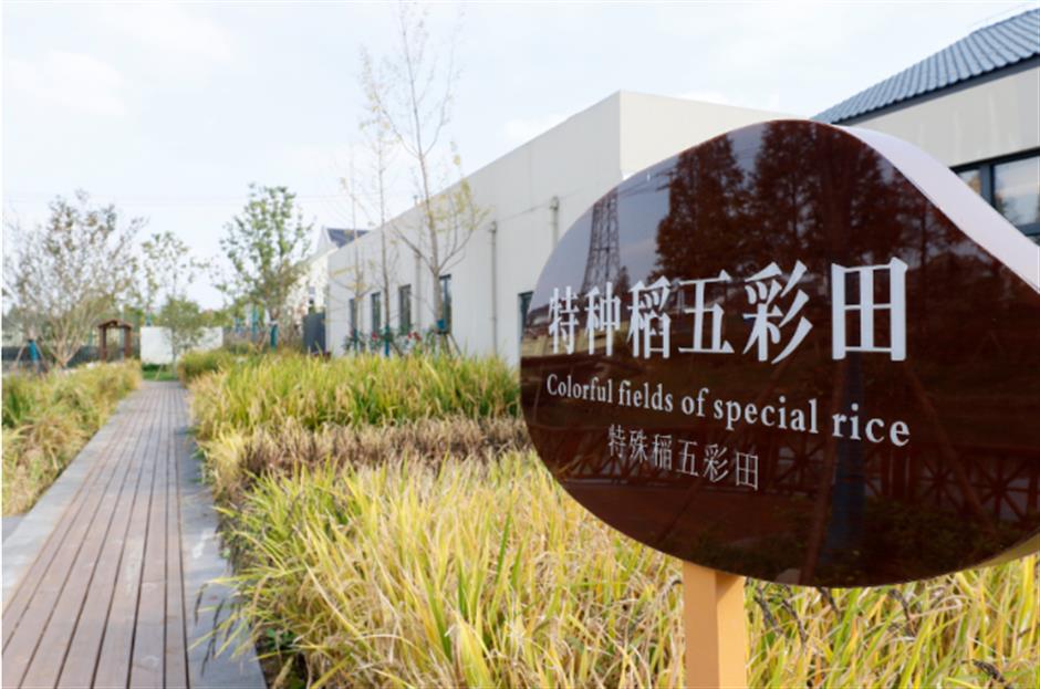 赏飞鸟红叶、品冬日美食……深秋浅冬来郊游吧!