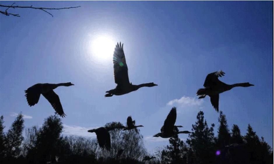 赏飞鸟红叶、品冬日美食……深秋浅冬来郊游吧!